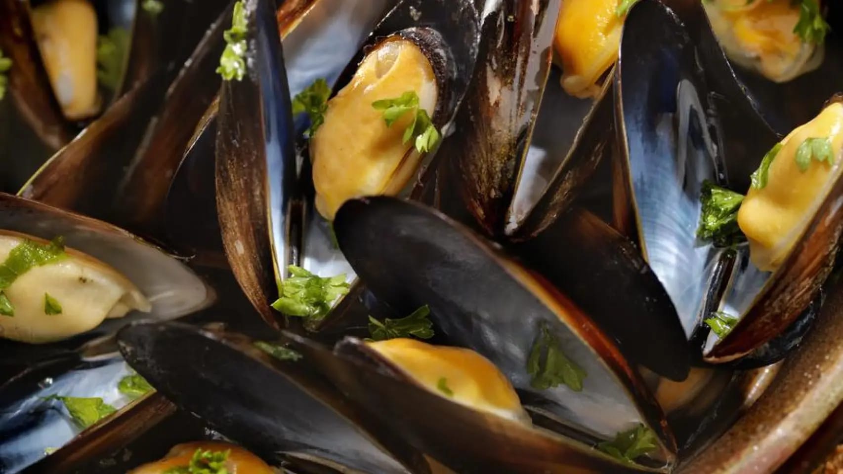 Fiesta del Mejillón y Callos Gratis