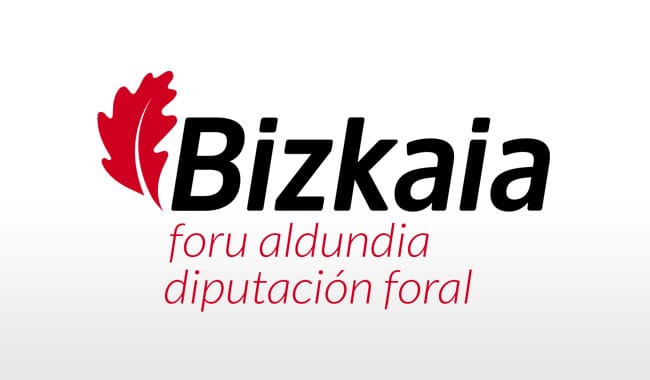 OPE DIPUTACIÓN FORAL DE BIZKAIA