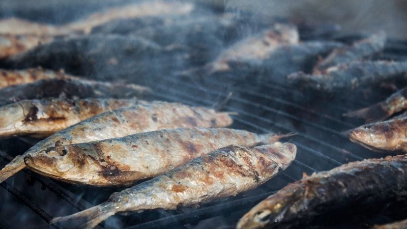 Fiesta de San Juan en Alcabre