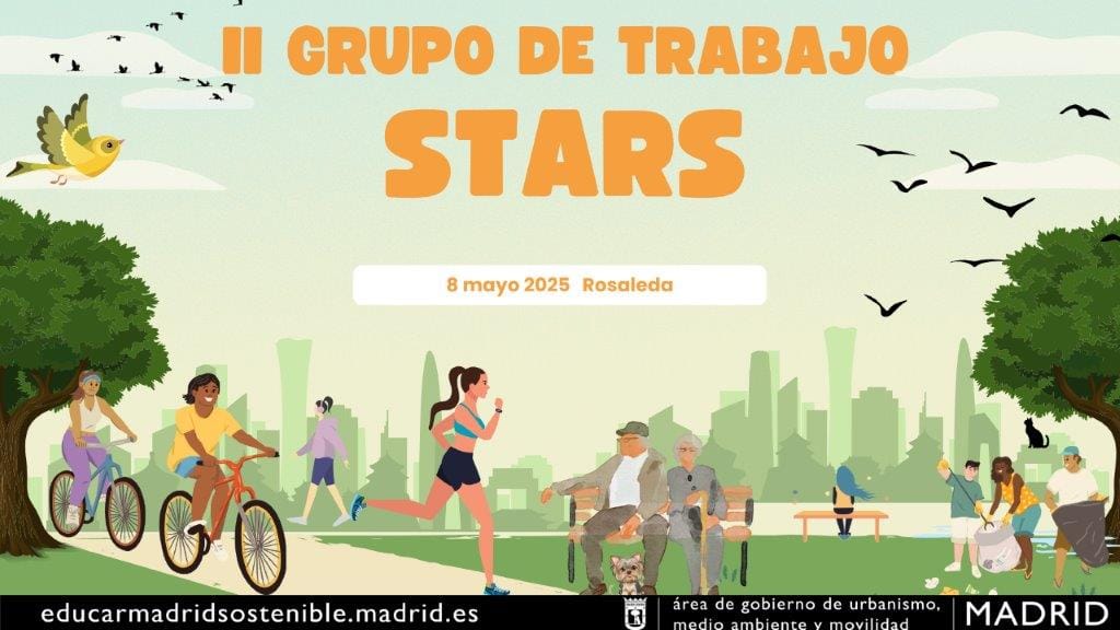 II Grupo de trabajo STARS