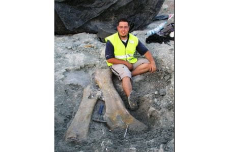 ¡De la tierra al museo! El viaje de un dinosaurio desde su descubrimiento hasta su exhibición