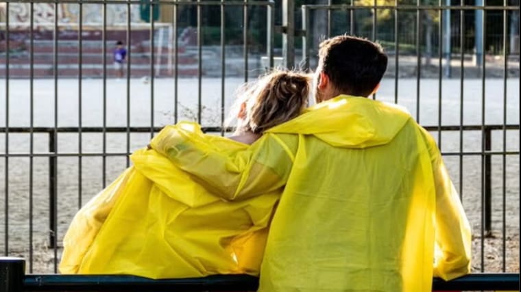 Instrucciones para cuidar las margaritas