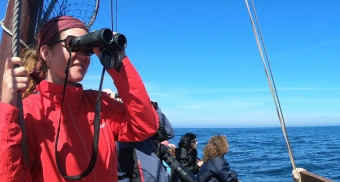 Embarques participativos: avistamiento de orcas y ballenas