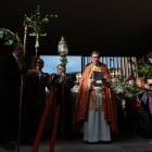 Procesión de Los Ramos