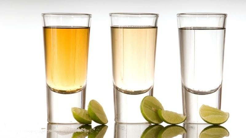 Degustación de Tequilas y Mezcal Derechito