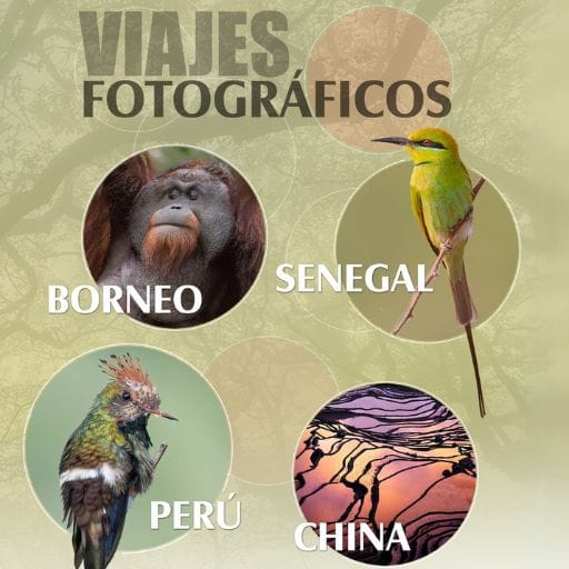 Ciclo de Conferencias - Viajes Fotográficos