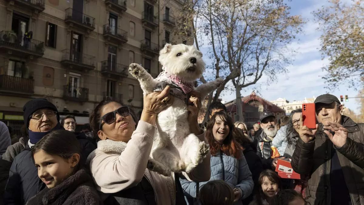 XXVIII Trobada Nacional dels Tres Tombs de Catalunya