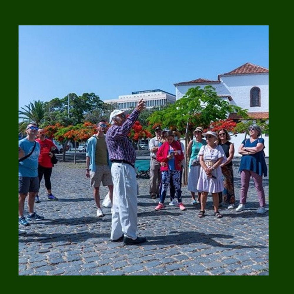 Rutas: Árboles singulares de Santa Cruz de Tenerife