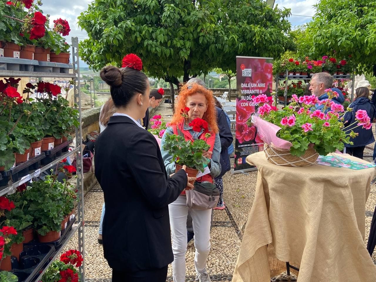 Plantas gratis para celebrar que Córdoba es la ciudad del geranio
