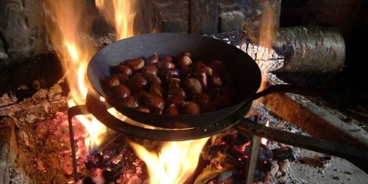 Magosto más auténtico de Vigo