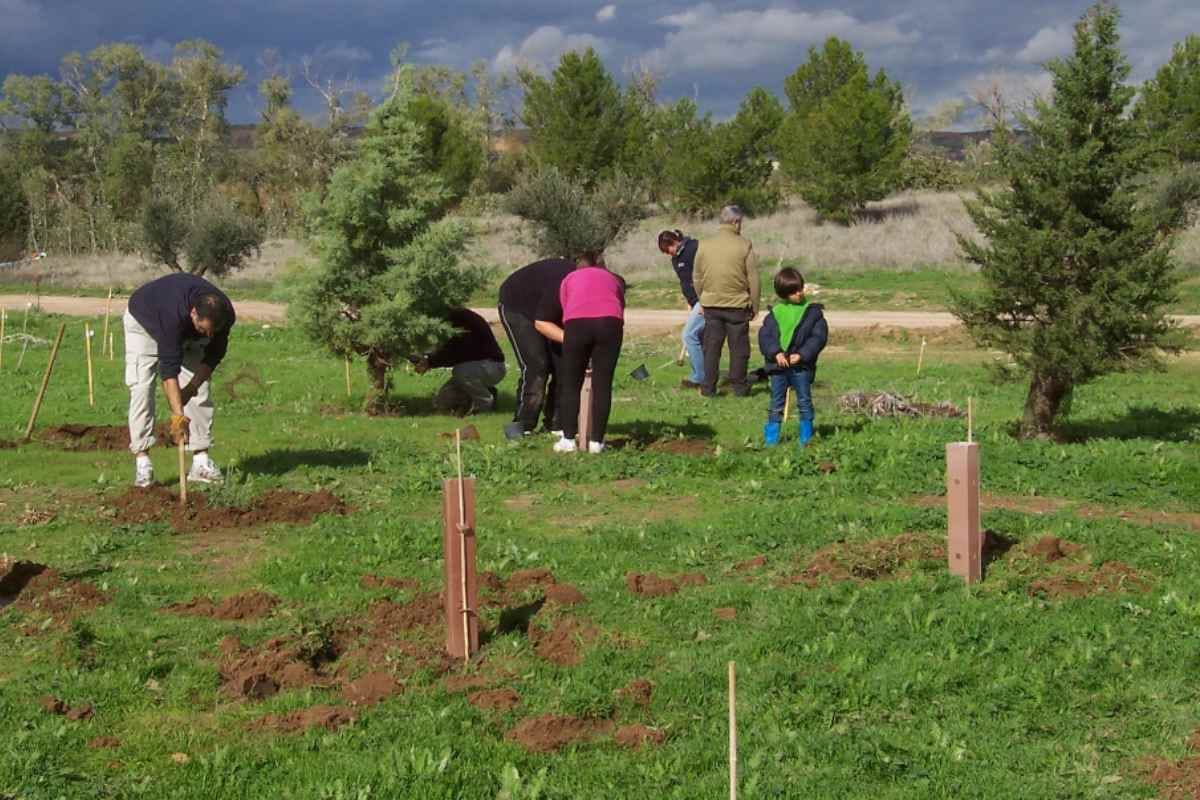 Jornada de plantación de árboles y arbustos