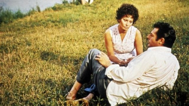 Proyección de 'Los girasoles (I girasoli)'