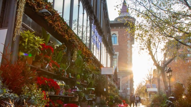 Barcelona, una ciudad donde pasear y compartir un estilo de vida