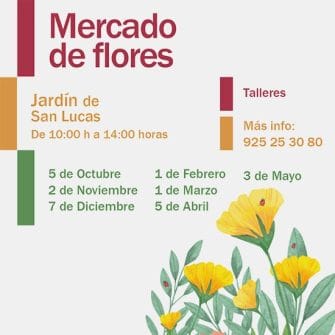 Mercado de Flores en Toledo