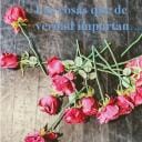 Las cosas que de verdad importan