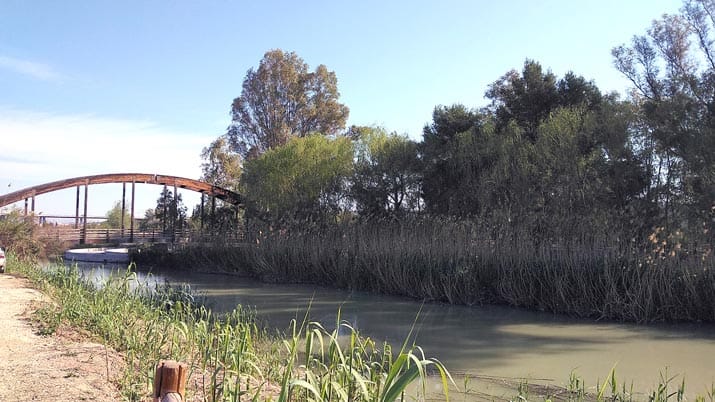 Un paseo por la Contraparada