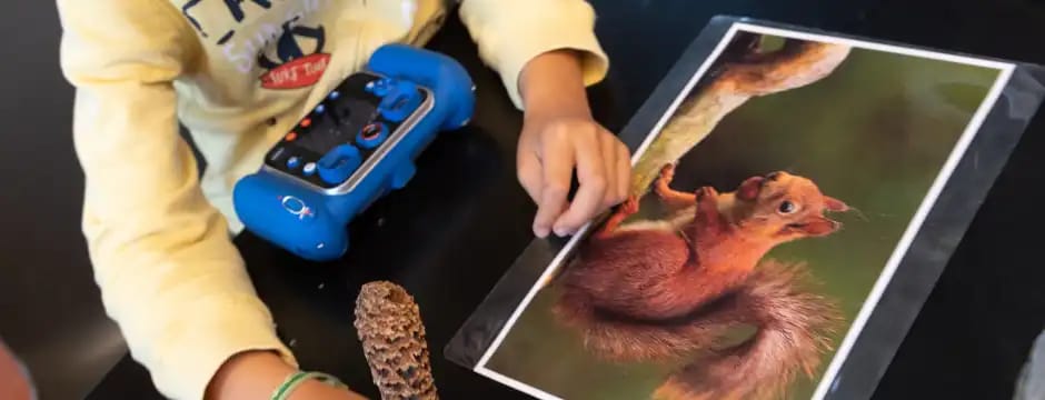 Taller del naturalista