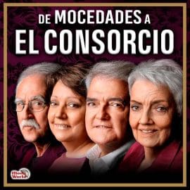 DE MOCEDADES A EL CONSORCIO