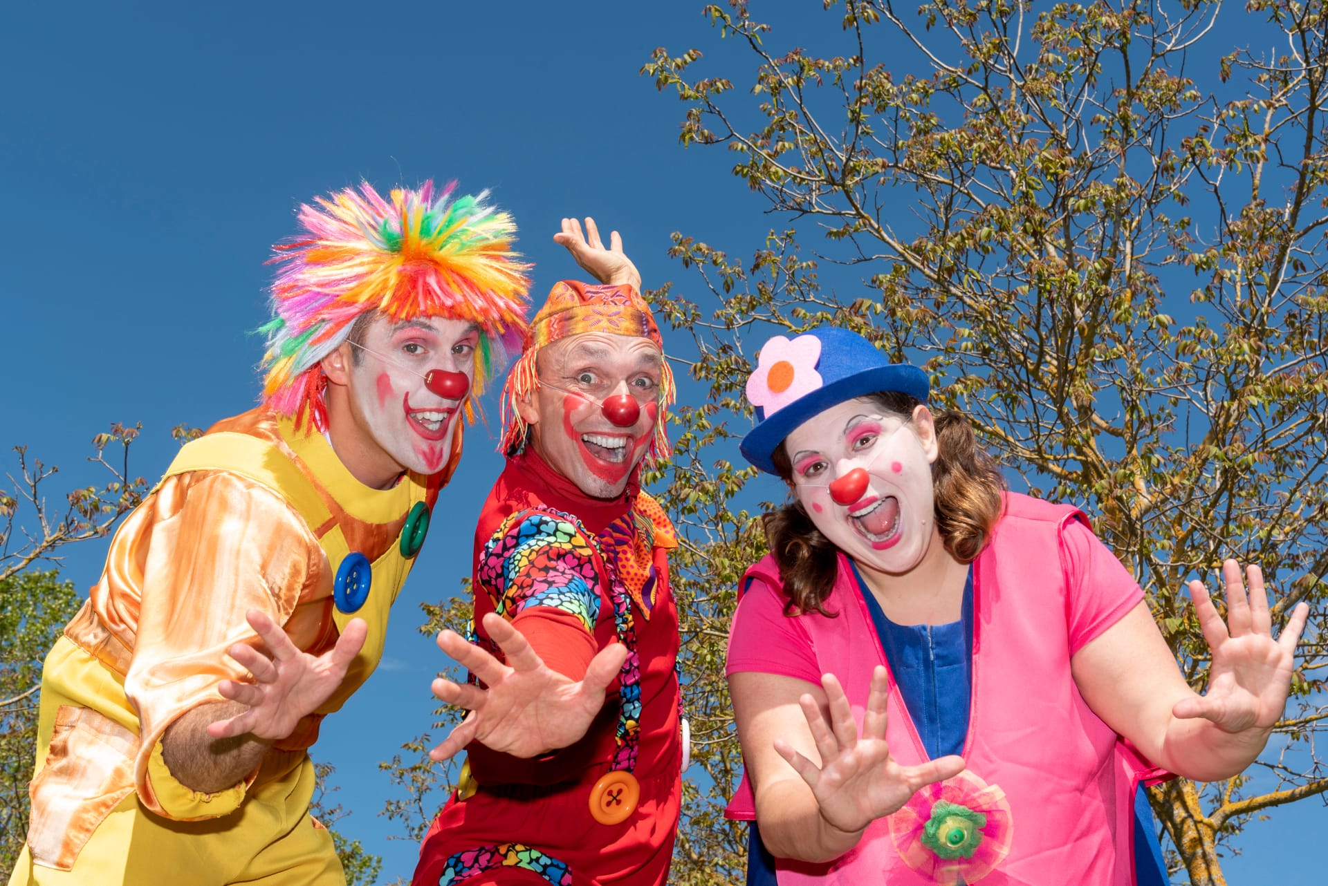 Espectáculo musical “Armonía, ¿dónde estás?”