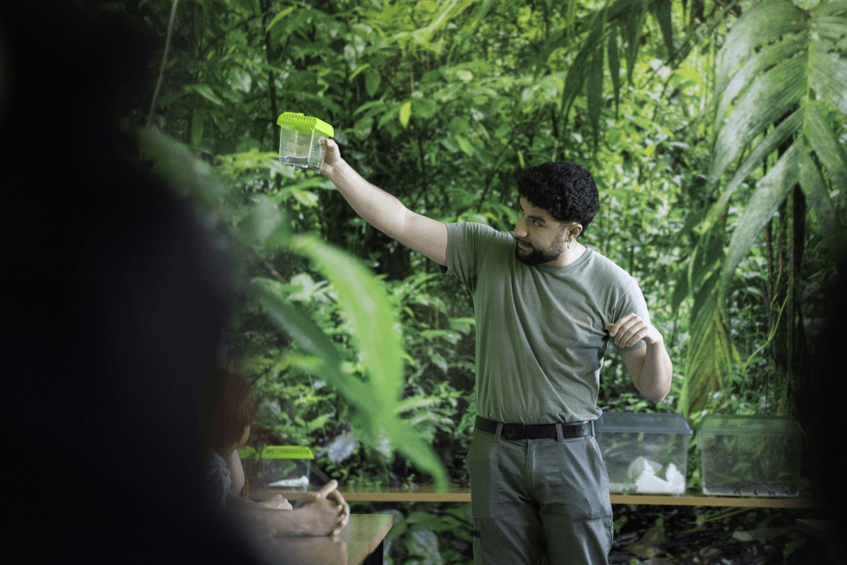 Camuflaxe Animal en VigoNature