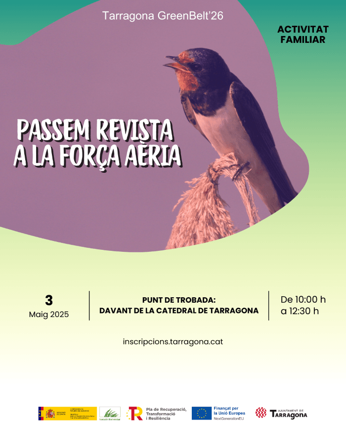Passem Revista a la Força Aèria