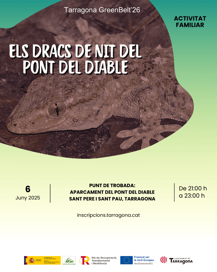 Els Dracs de Nit del Pont del Diable