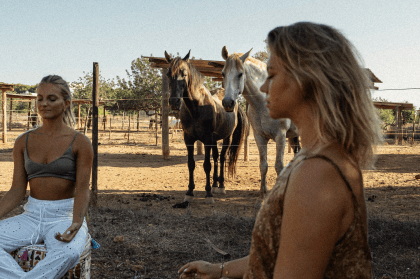 Morning retreat with horse coaching