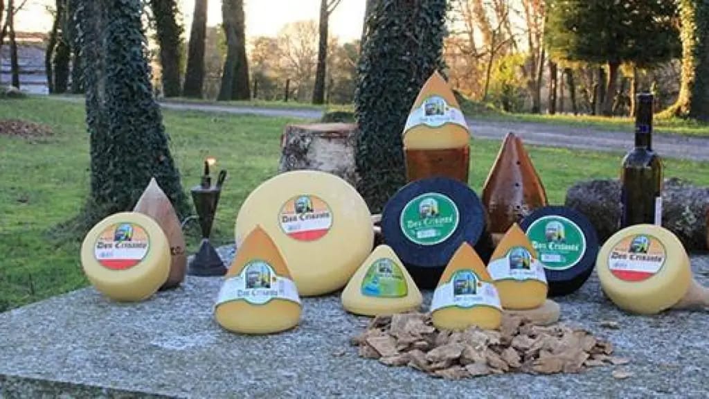 Tren de la Ruta de los Quesos de Galicia