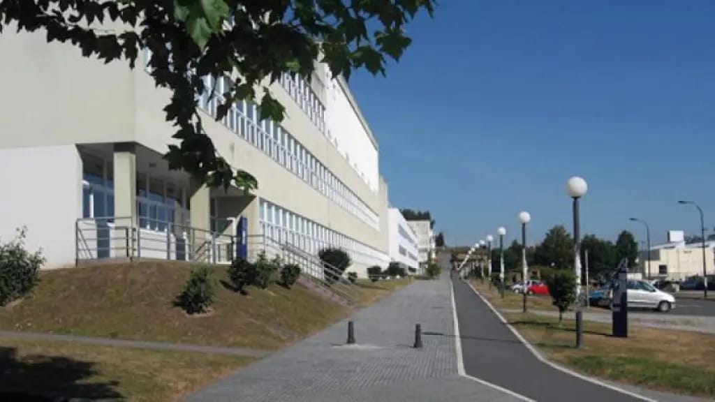 Festival Novo Enfoque