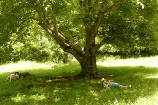 Exposición 'Lee+. Viaje al corazón de la lectura'