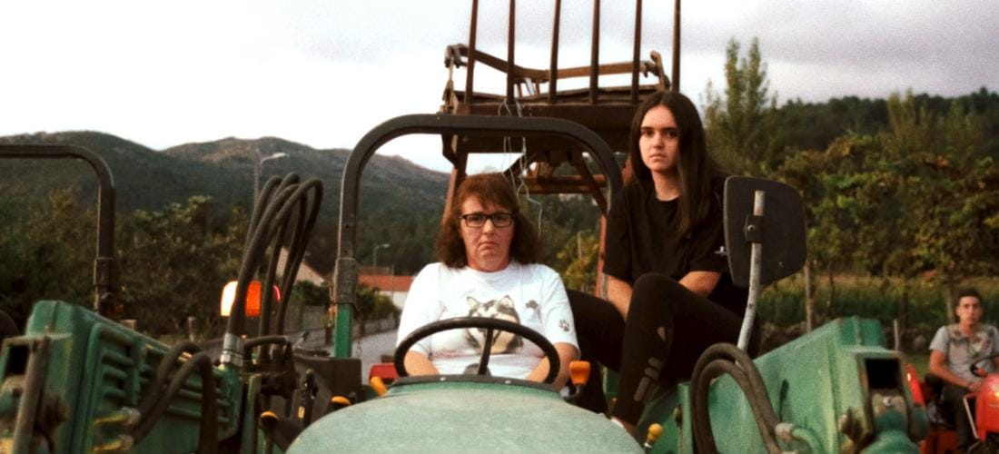 20 MICE · A SAVANA E A MONTANHA