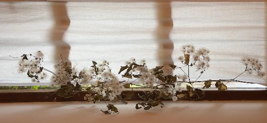 No estás solo/a: reflexiones sobre la epidemia de la soledad