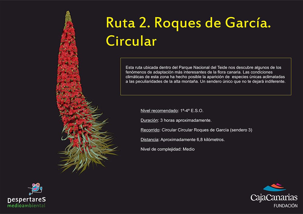 Ruta 1. Roques de García. Circular