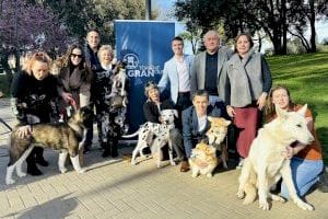 Concurso local canino ‘Ciutat de Torrent 2025’