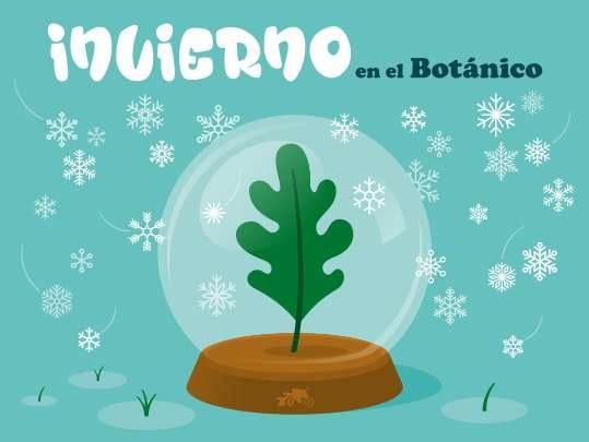Invierno en el Botánico