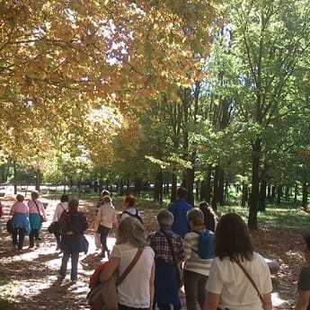 Itinerarios interpretativos y rutas de senderismo