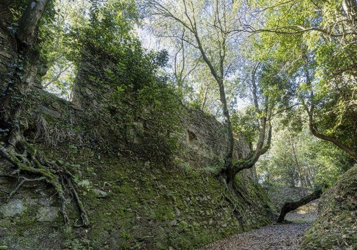 Txori-kantuak ezagutzeko saioa