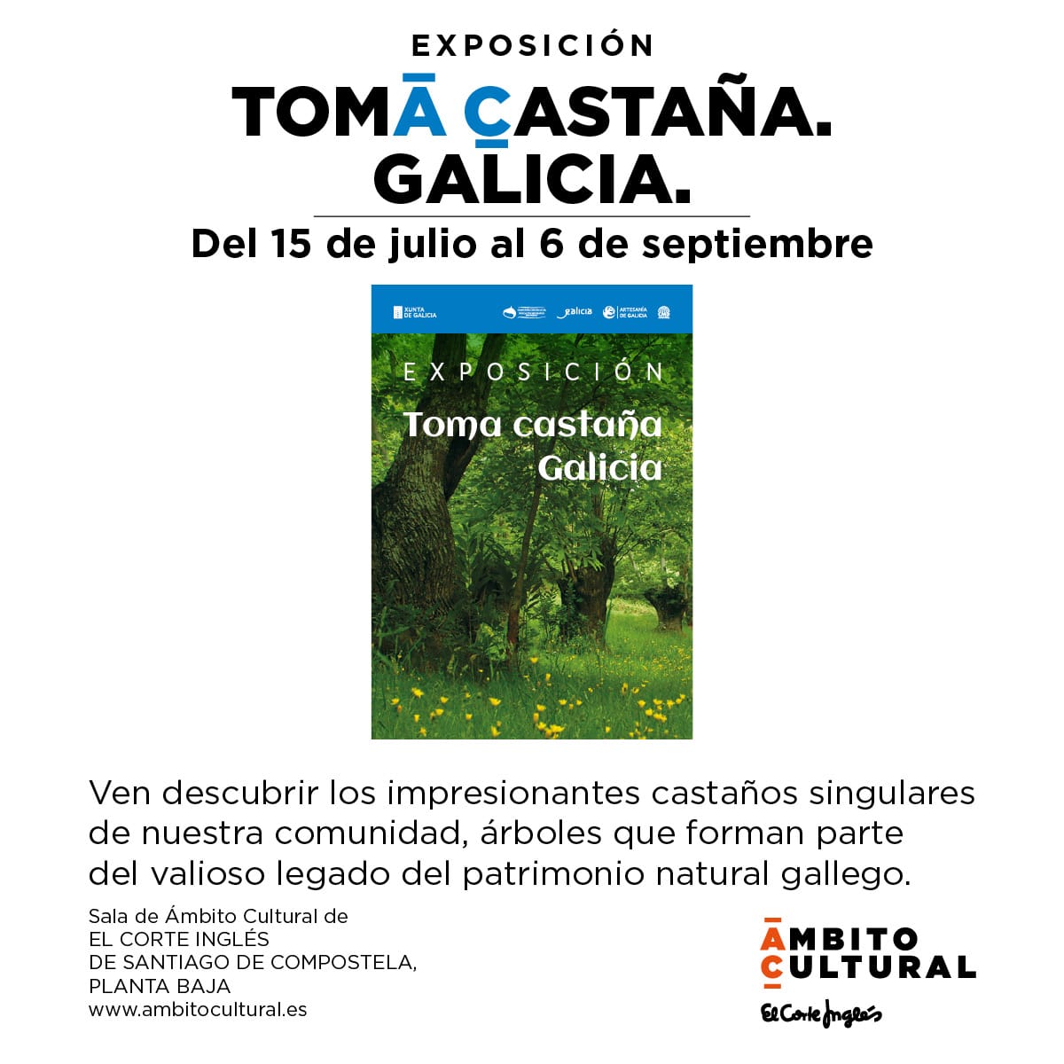 Toma castaña. Galicia