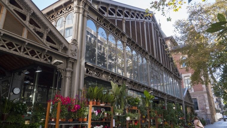 Taller 'Llavors que broten: vine al Mercat de la Concepció a degustar llavors i plantes silvestres!'