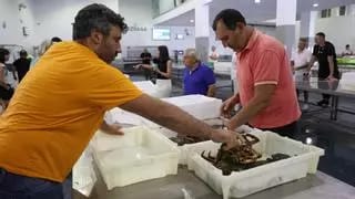 Choco, sardina y centollo, los «protas» del finde