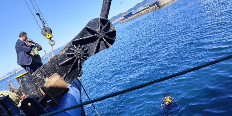Gran limpieza submarina en el Puerto de Vigo