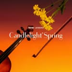 Candlelight Spring: Tributo a ABBA