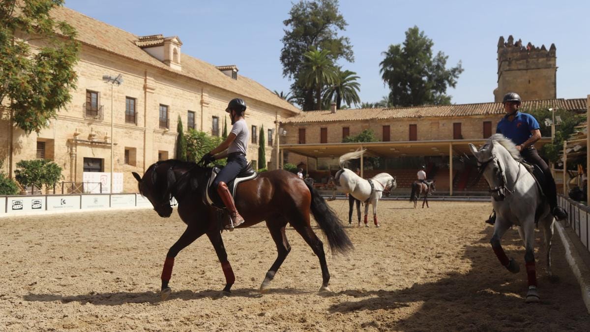 Visita a Caballerizas Reales