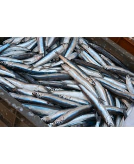 Taller: Especial Anchoa