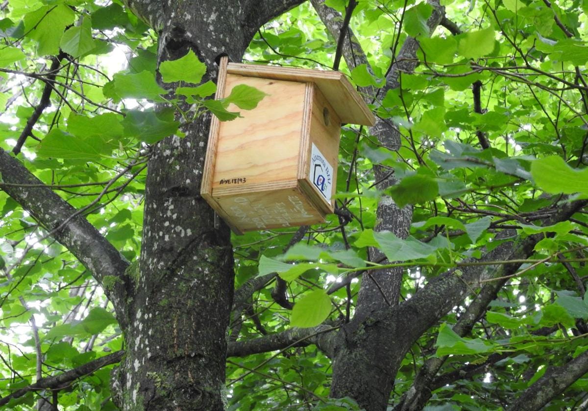 Talleres organizados por el Área de Medio Ambiente