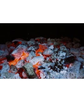 Taller de Verano: Brasas