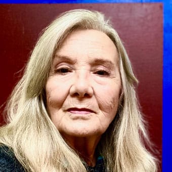 Inés Medina. Investigacion analítica plástica. 1978-1995