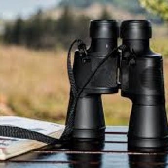 Itinerario Ornitológico Parque Enrique Tierno Galván