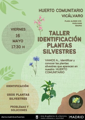 Taller de Identificación de plantas silvestres