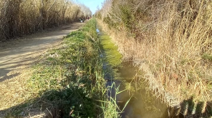 Vols conèixer els camins de l'aigua al Prat?